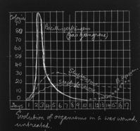 @NOO-4
<br/>
Lantern slides of WWI field station and notes on wound treatment
<br/>
<em>RAE Makers, Glasgow</em>